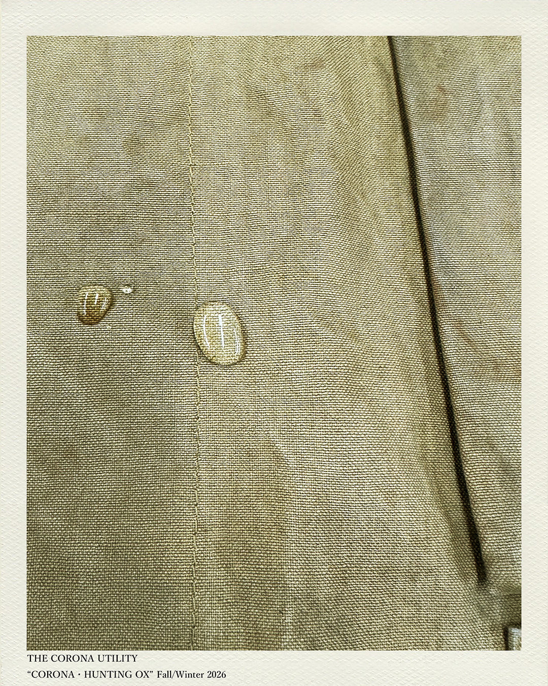 CORONA CLASSICS TEXTILE/CORONA・HUNTING OX FW2026