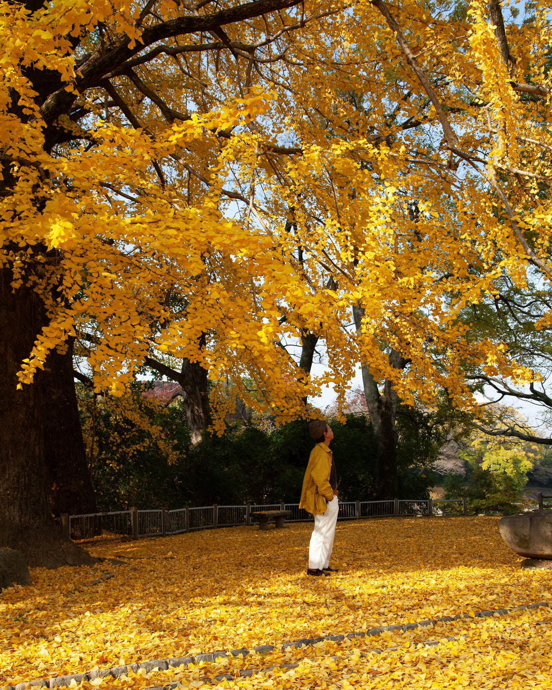 CORONA・GAME JACKET x GINKGO CAMOUFLAGE STYLE