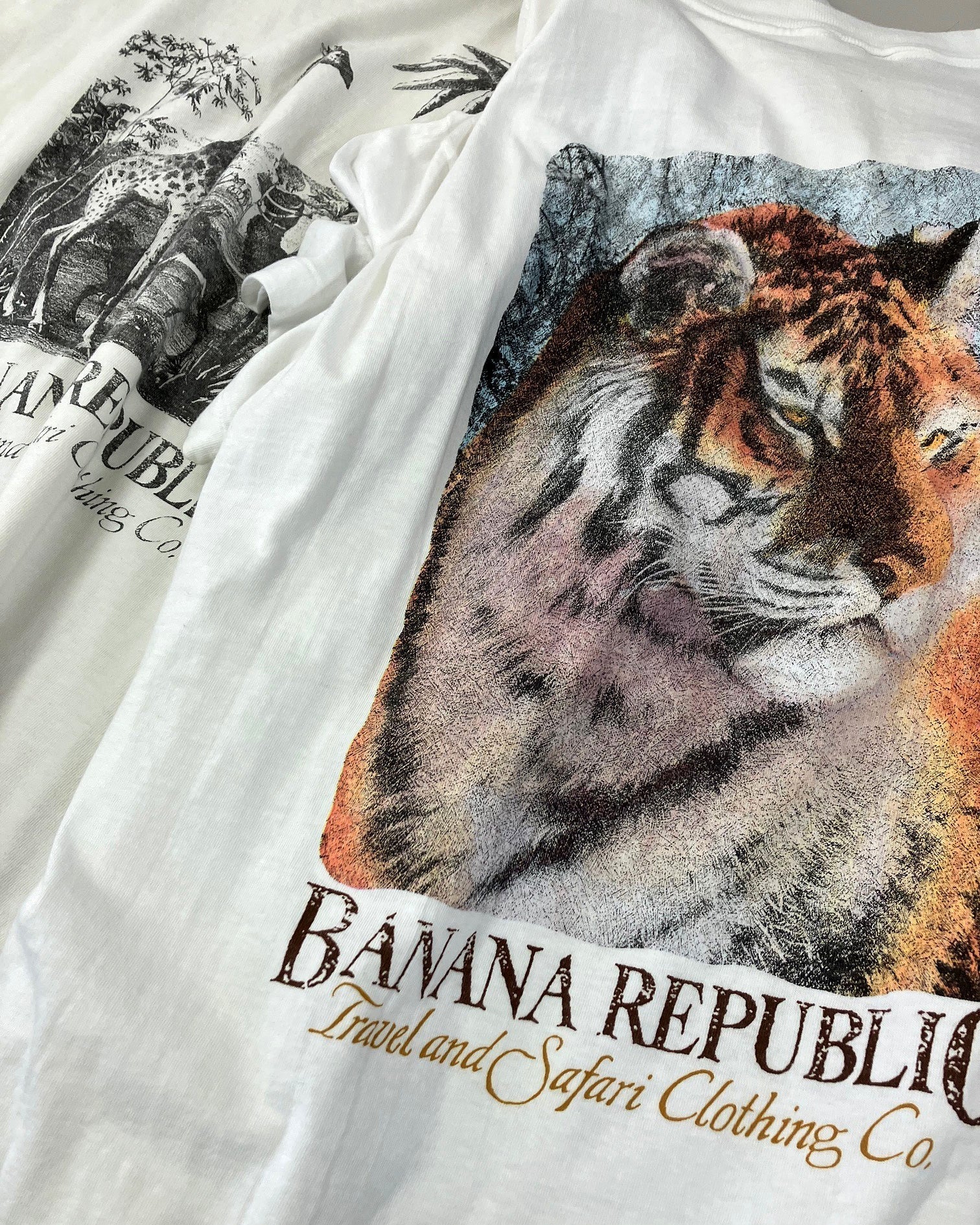 THE 1980S “BANANA REPUBLIC” – THE CORONA UTILITY